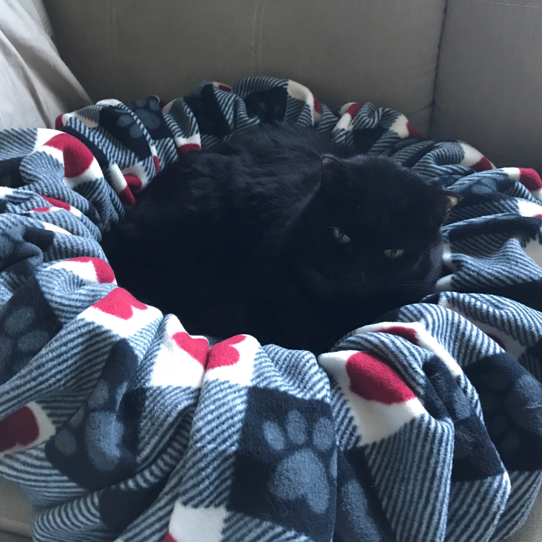 Pets-Cat-Crop-Circle-Bed-shown-with-cat-4 