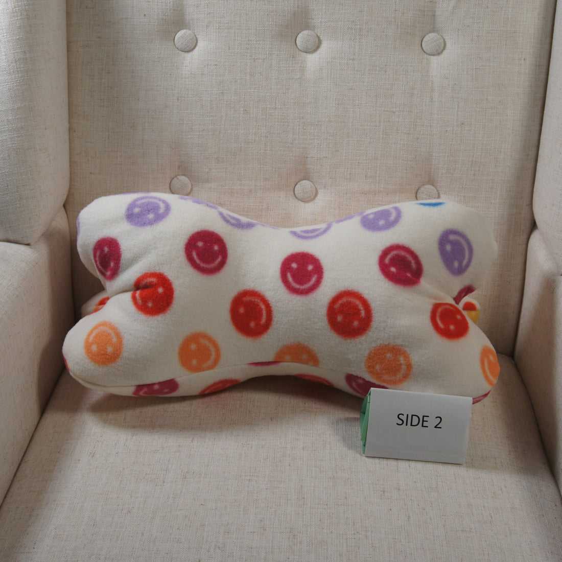 Pillows-Dinosaur-Bone-Accent-Happy-Faces-2