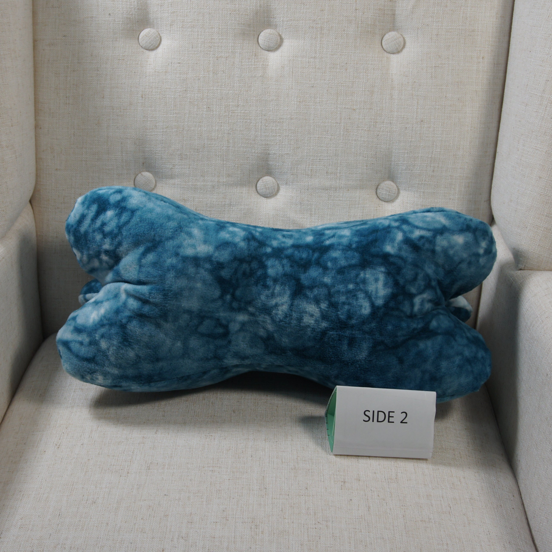 Pillows-Dinosaur-Bone-Accent-Turquoise-Swirls