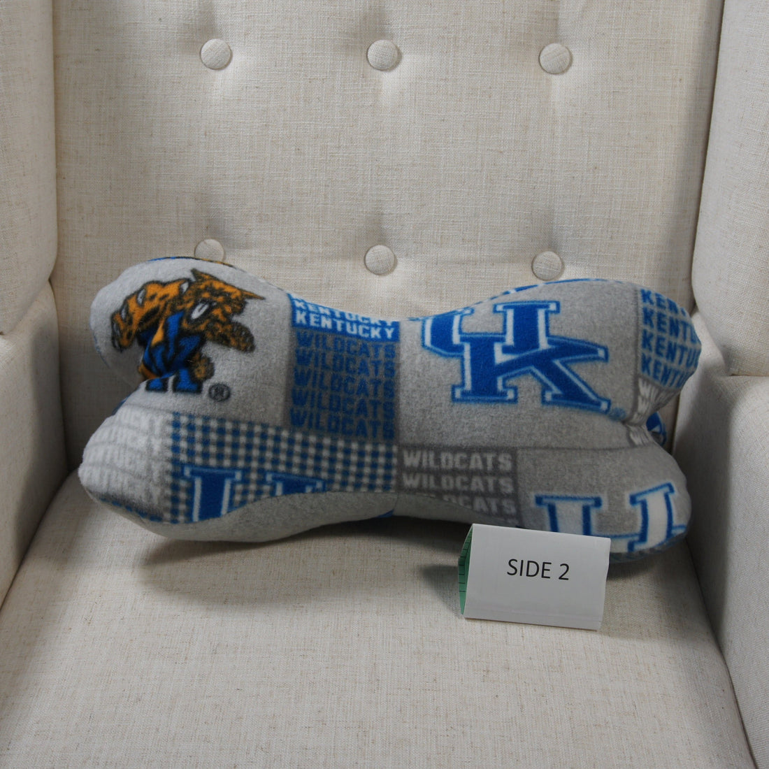 Pillows-Dinosaur-Bone-College-NCAA-University-of-Kentucky-UK-U of K - Wildcats-2