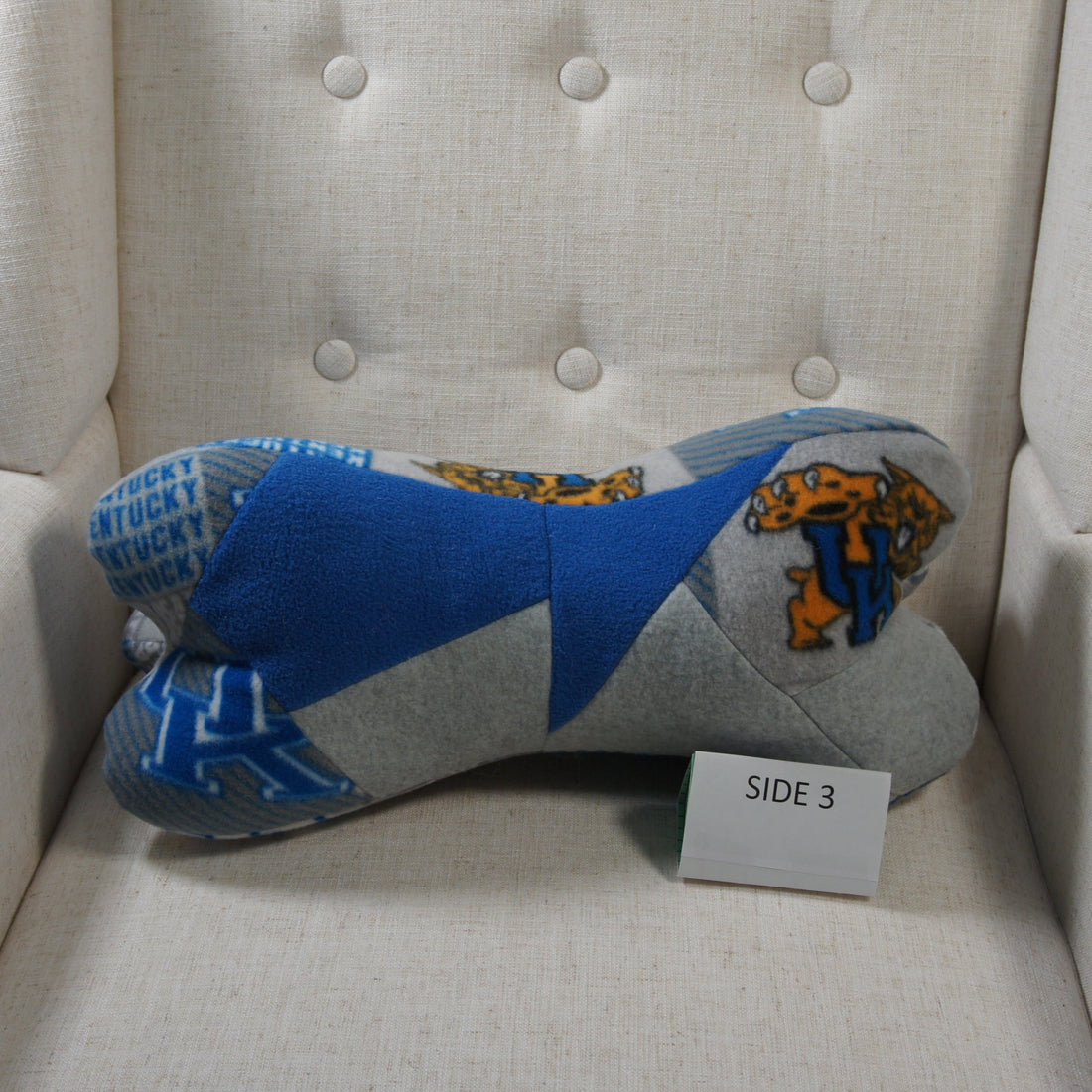 Pillows-Dinosaur-Bone-College-NCAA-University-of-Kentucky-UK-U of K - Wildcats-3