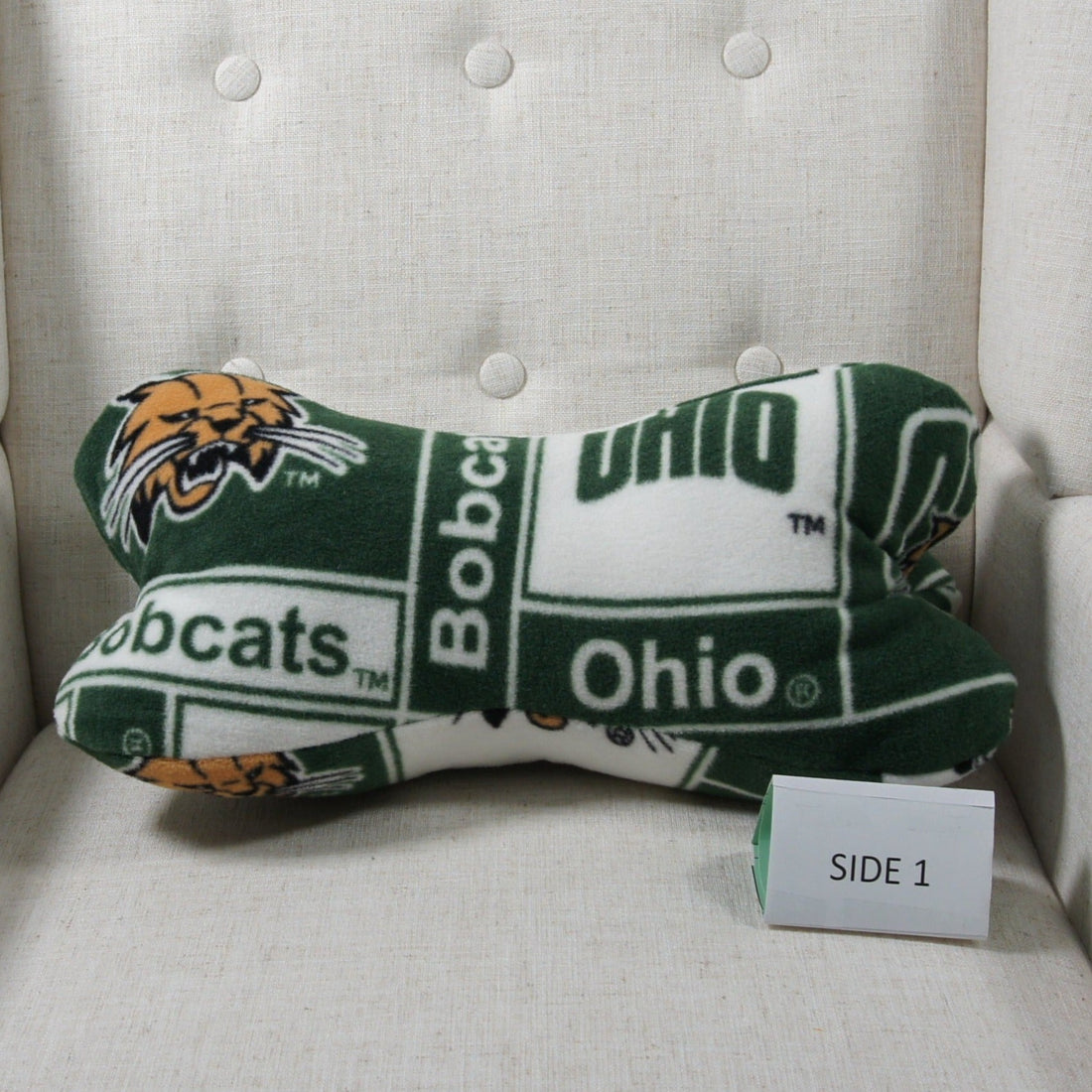 Pillows - Dinosaur Bone - College - NCAA - University of Wisconsin-Madison-UW - Badgers