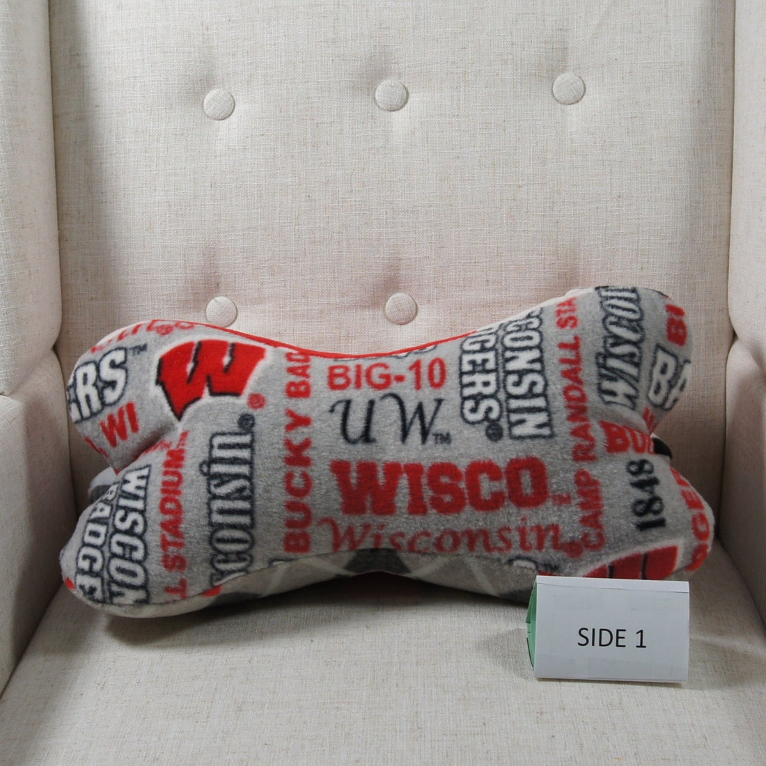 Pillows - Dinosaur Bone - College - NCAA - University of Wisconsin-Madison-UW - Badgers