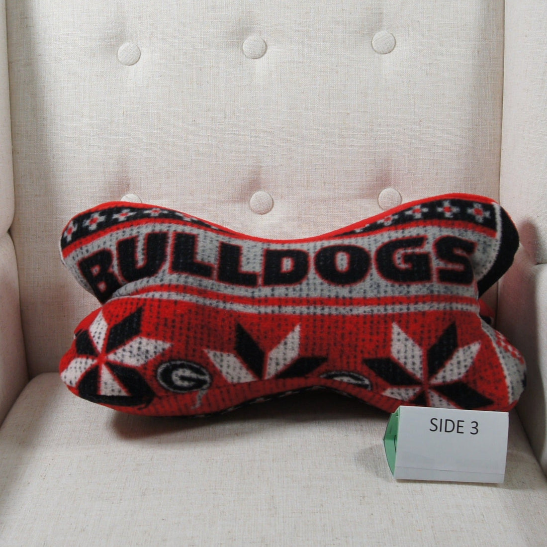 Pillows - Dinosaur Bone - College - NCAA - University of Georgia-UGA - Bulldogs